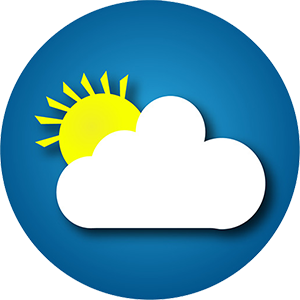 Доставка в любую погоду